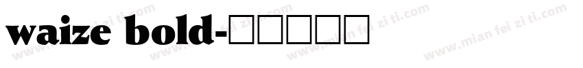 waize bold字体转换
